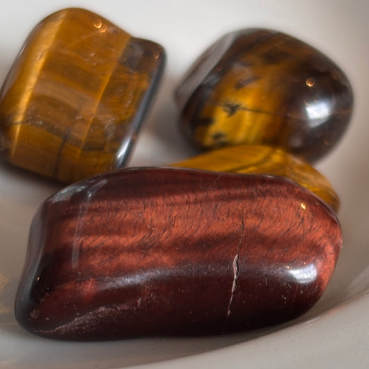 Red Tiger Eye Description Download
