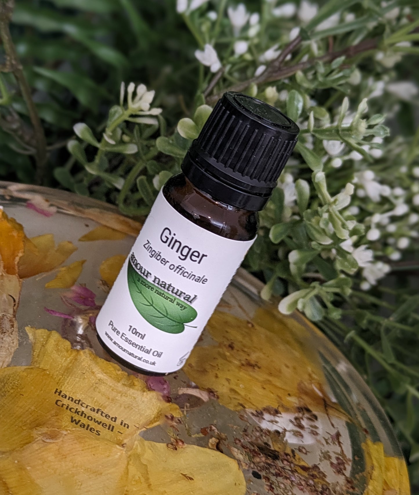 Ginger Essential Oil 10ml