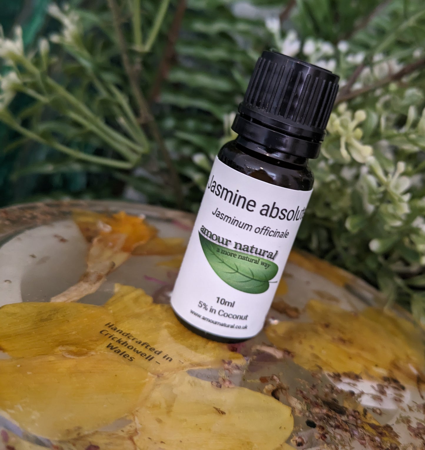 Jasmine Absolute 5% Essential Oil (10ml)