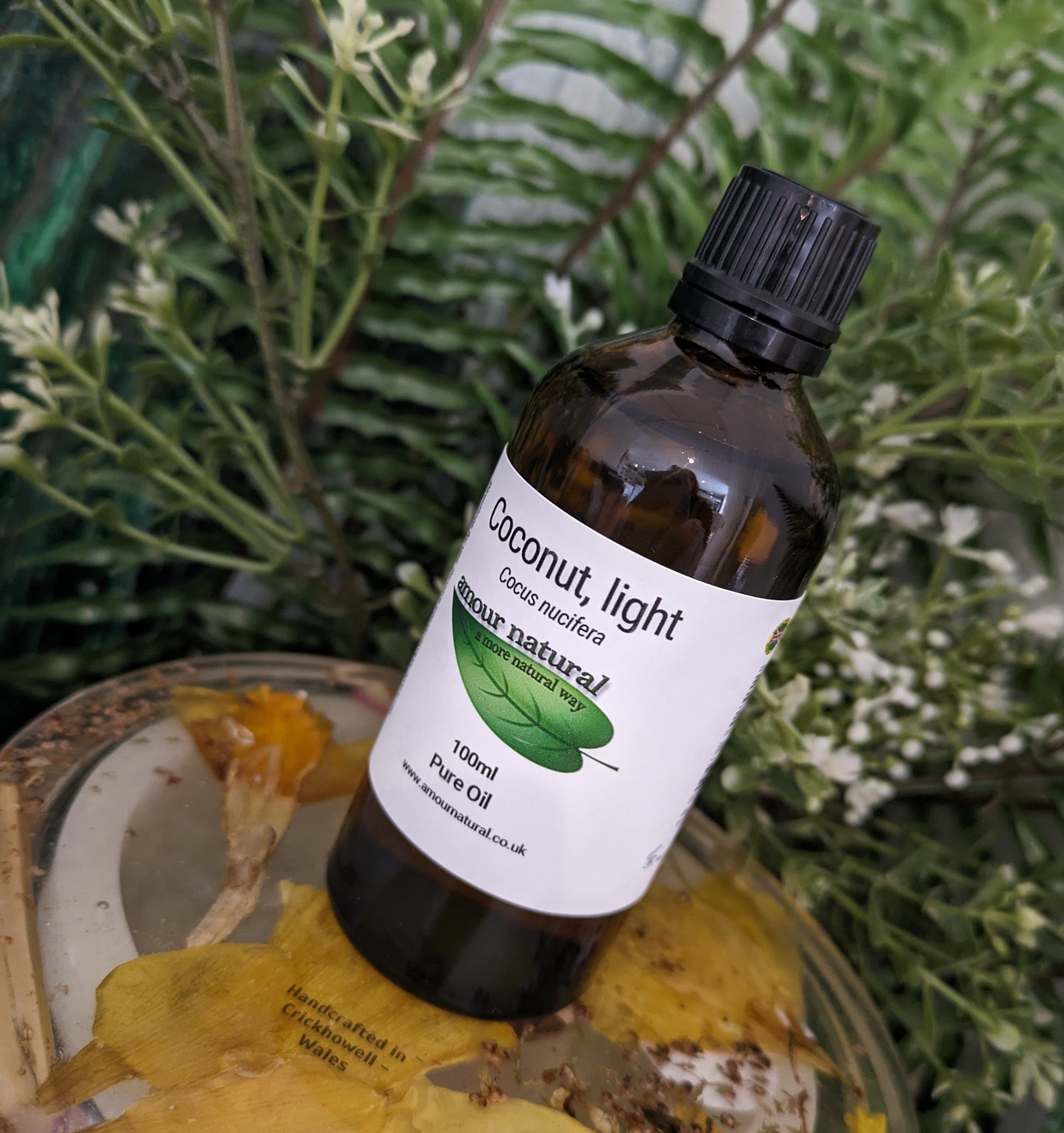 Coconut (fractionated) Carrier Oil (100ml)