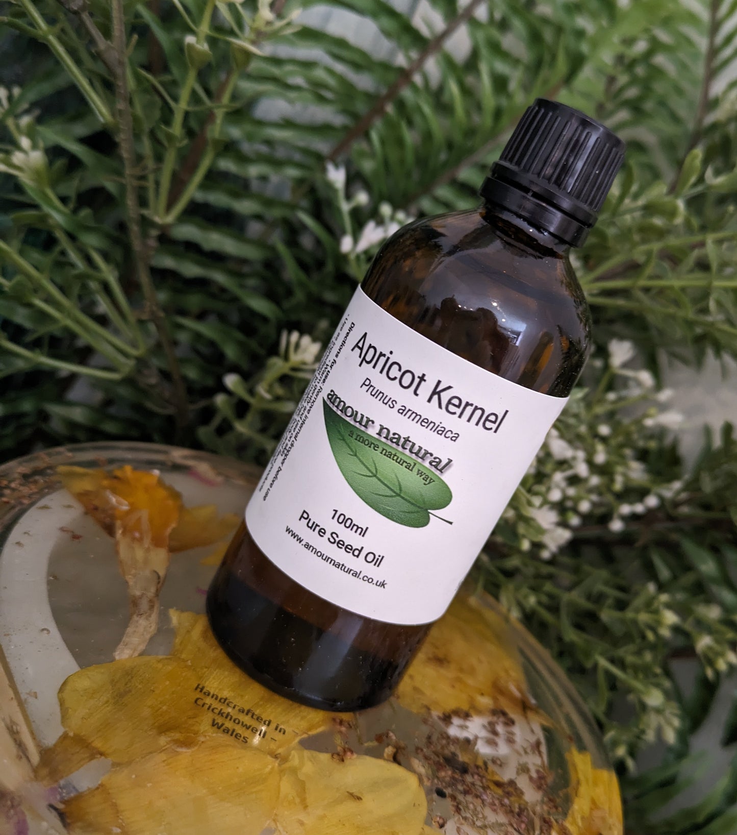 Apricot Kernel Oil (100ml)