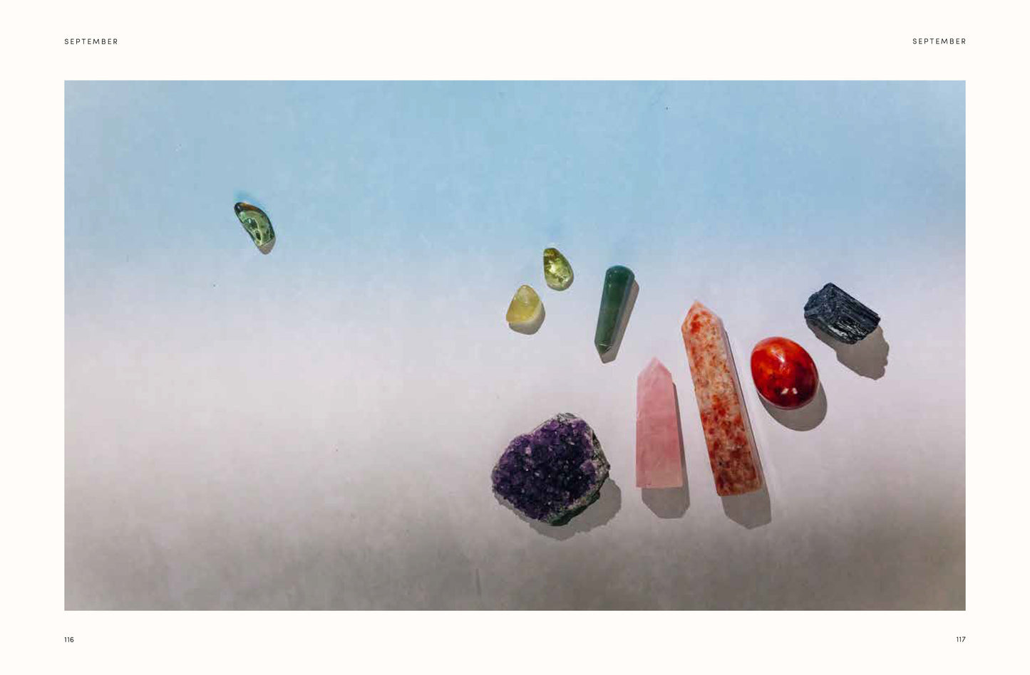 THE CRYSTAL YEAR (HB)