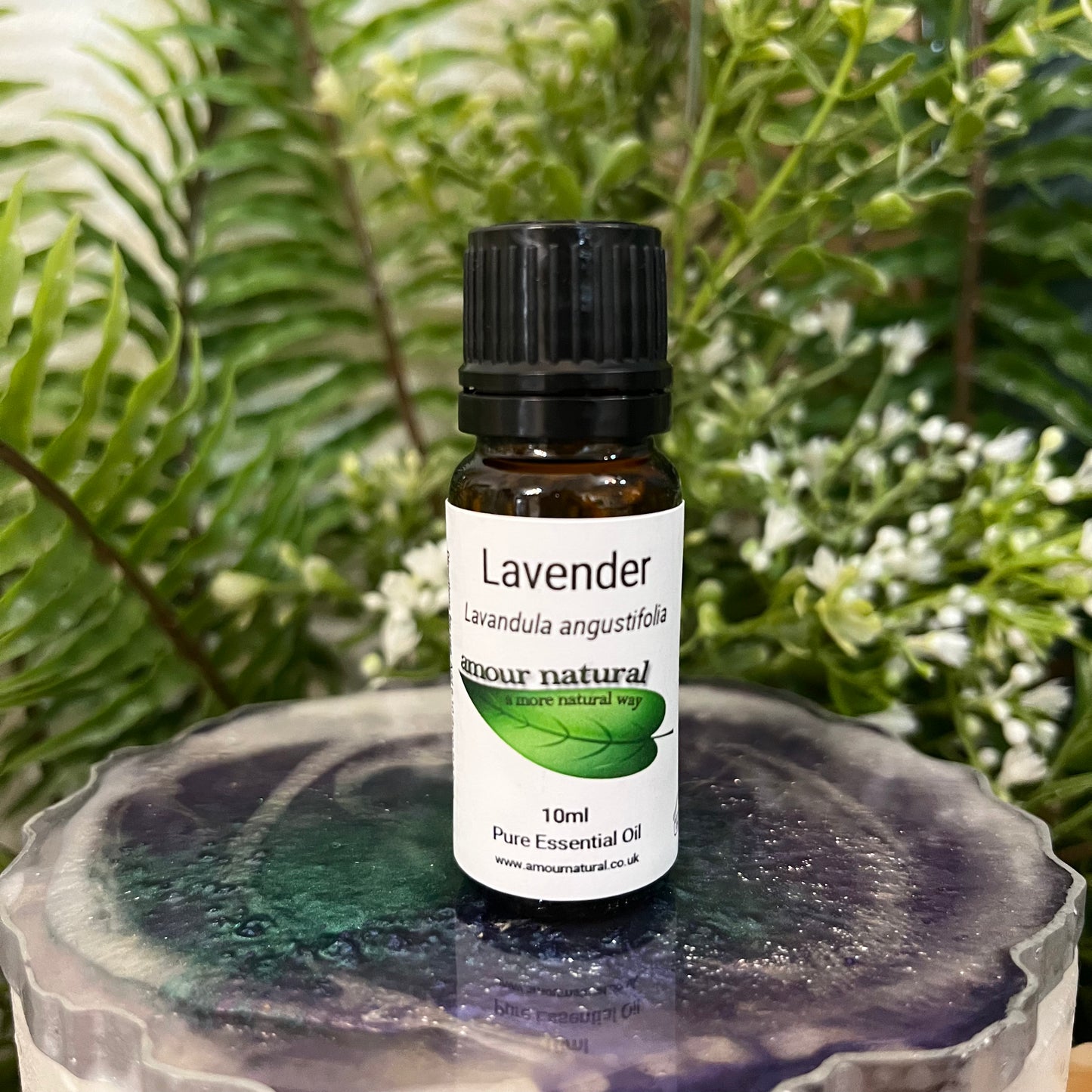 Lavender Essential Oil (10ml)