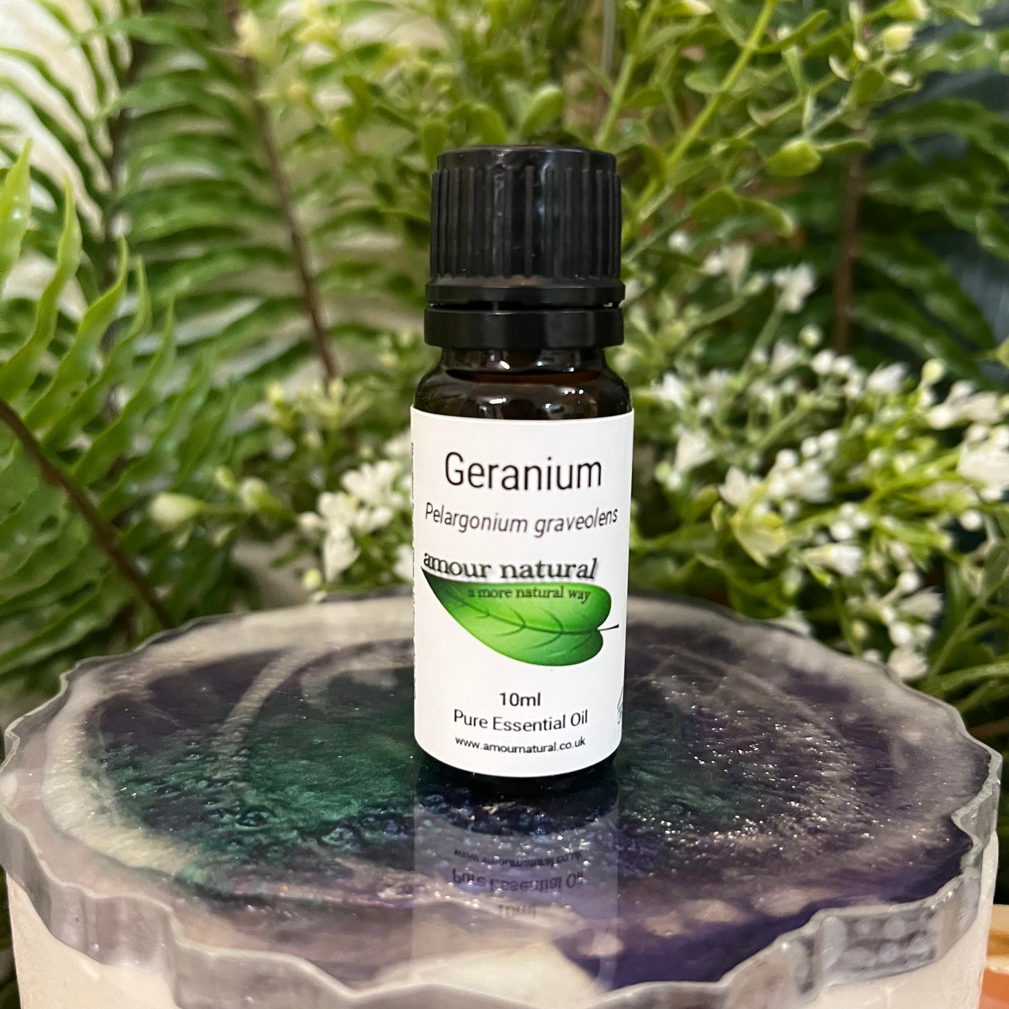 Geranium Essential Oil (10ml)