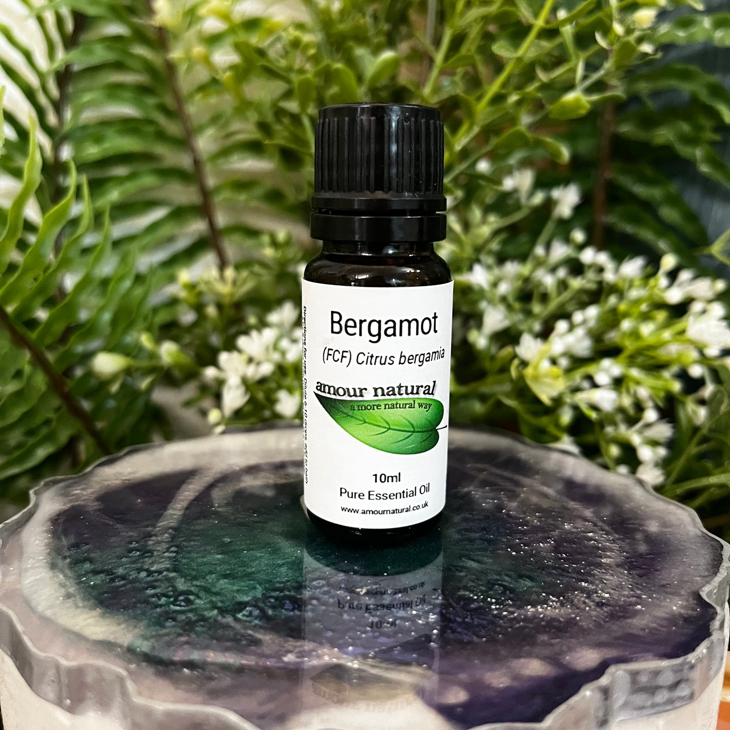 Bergamot Essential Oil (10ml)