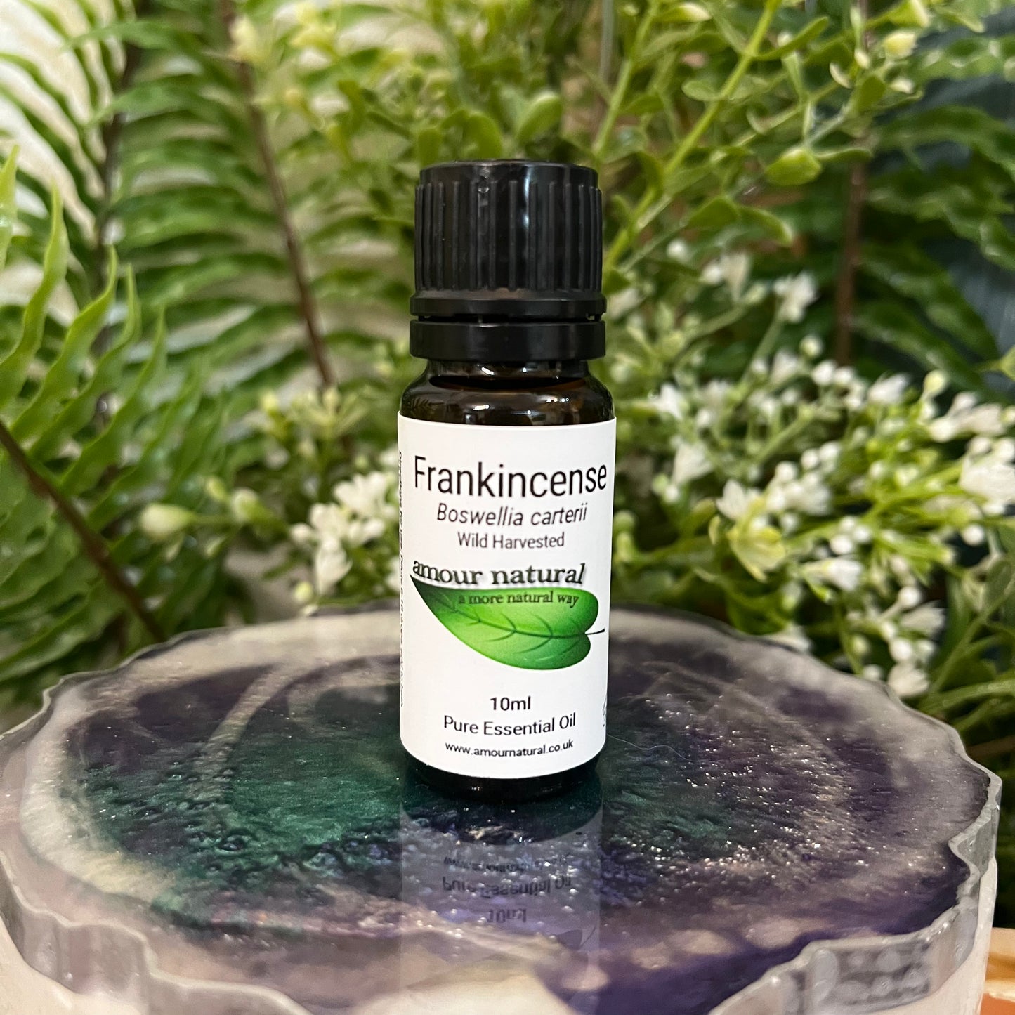Frankincense Essential Oil (10ml)