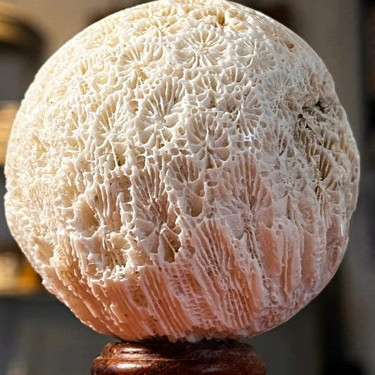 Coral Sphere (COS1)