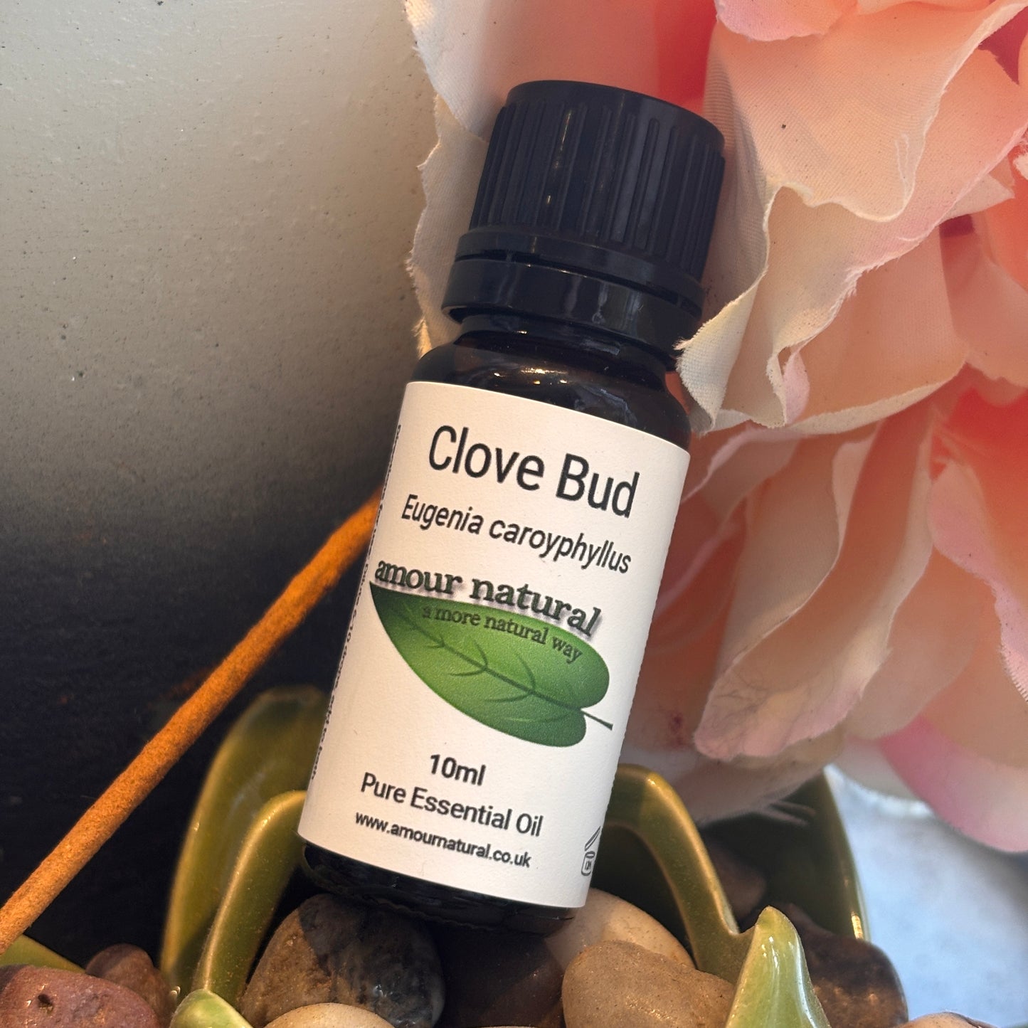 Clove Bud Essential Oil (10ml)