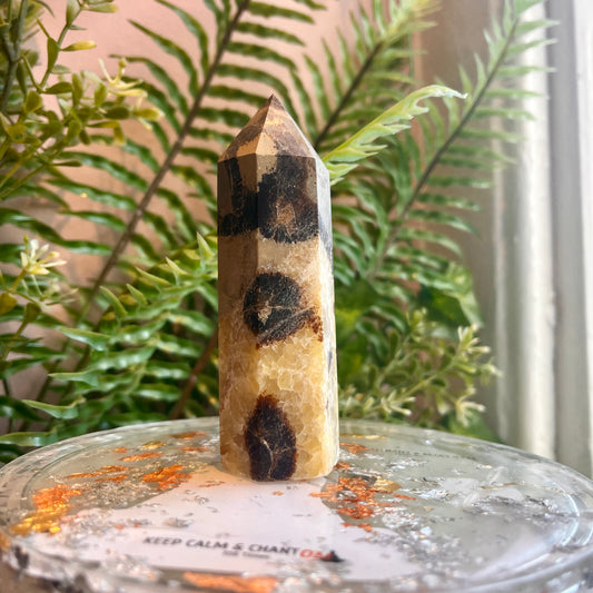 Septarian Pillar (ST02)