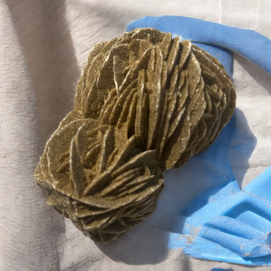 Desert Rose Specimen (DRS01)