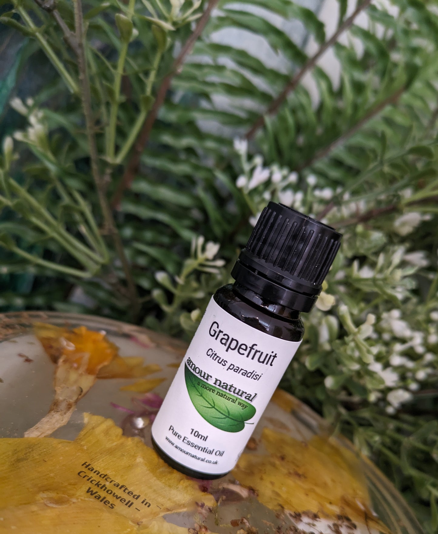 Grapefruit Essential Oil (10ml)