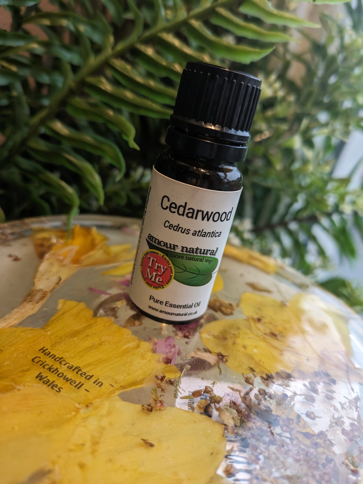 Cedarwood Essential Oil (10ml)