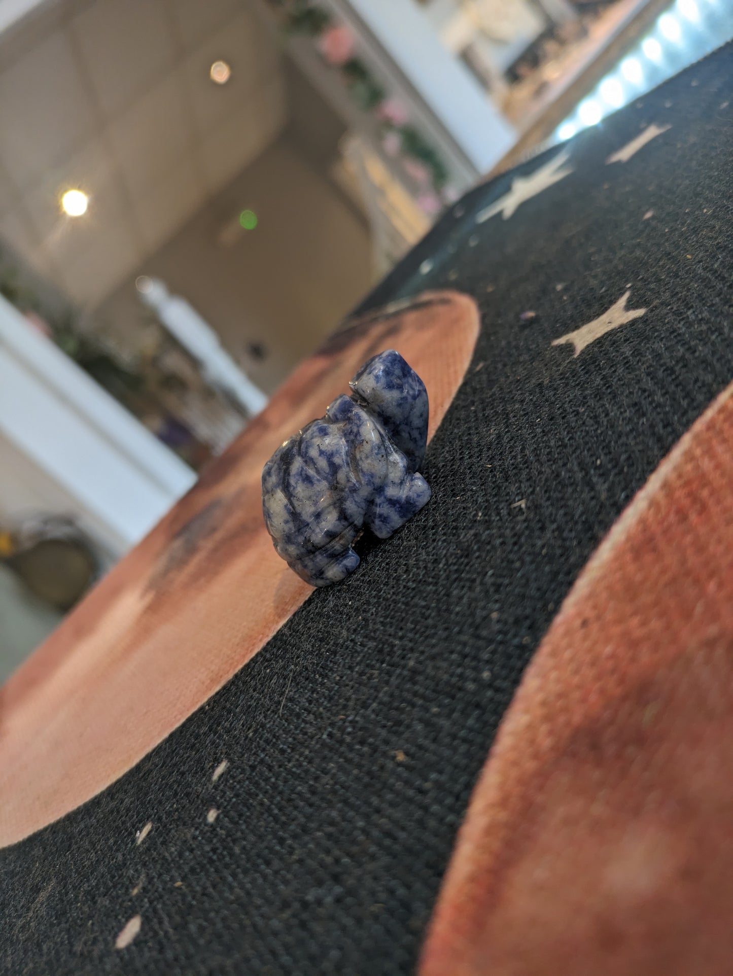 Blue Spot Jasper Tortoise