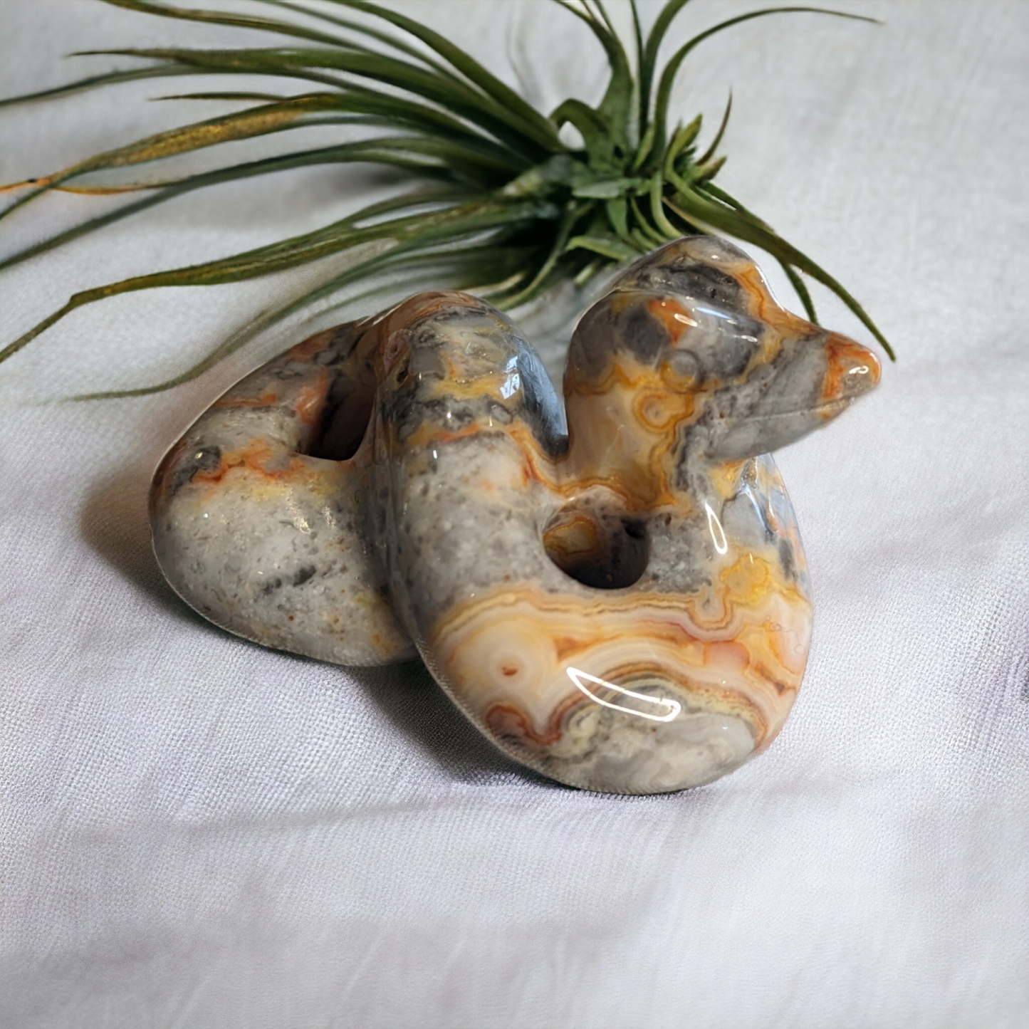 Mexican Crazy Lace Agate Cobra Carving