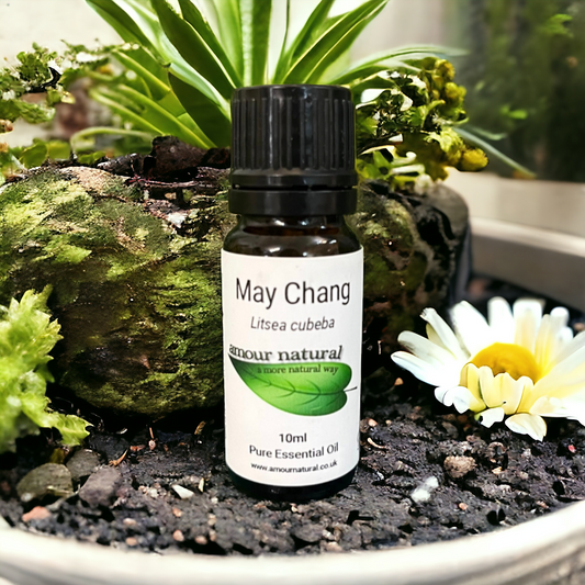 May Chang Essential Oil (10ml)