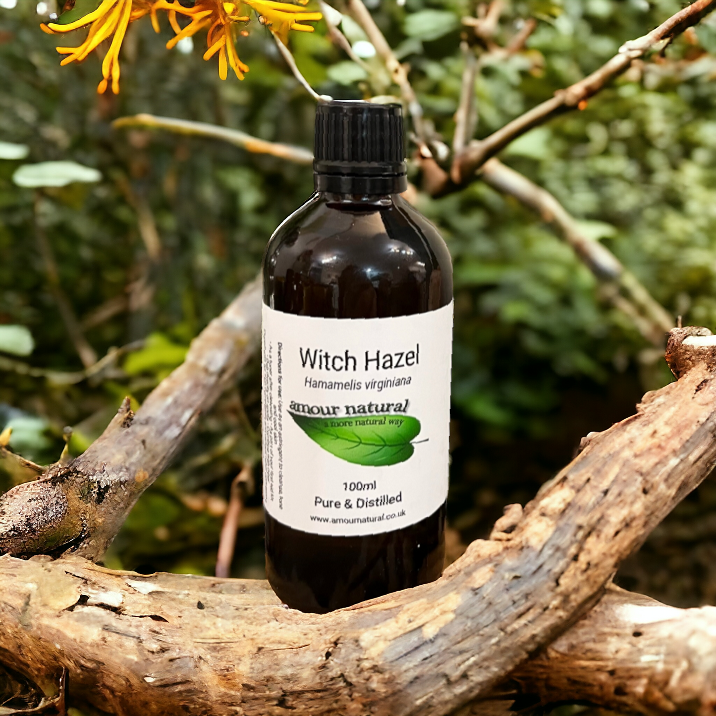 Witch Hazel (100ml)