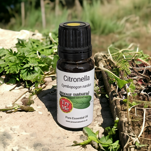 Citronella Essential Oil (10ml)