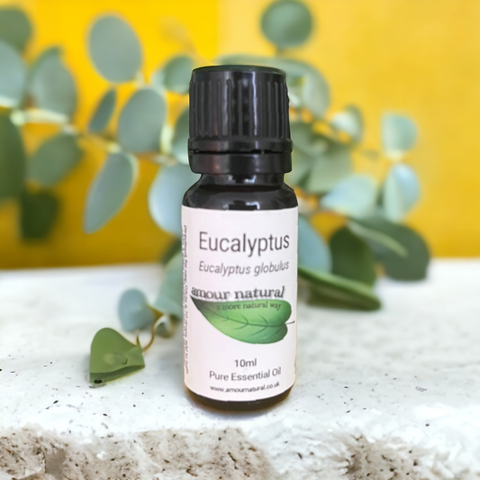 Eucalyptus Essential Oil (10ml)