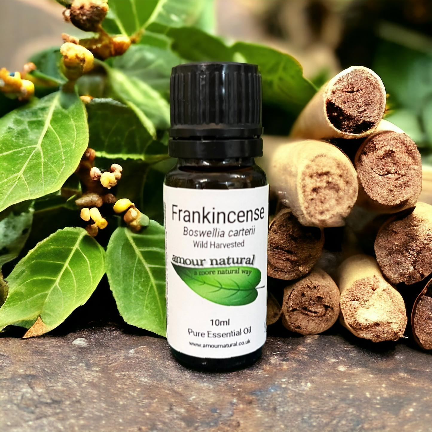 Frankincense Essential Oil (10ml)