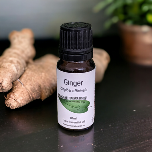 Ginger Essential Oil 10ml