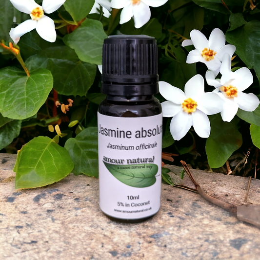 Jasmine Absolute 5% Essential Oil (10ml)