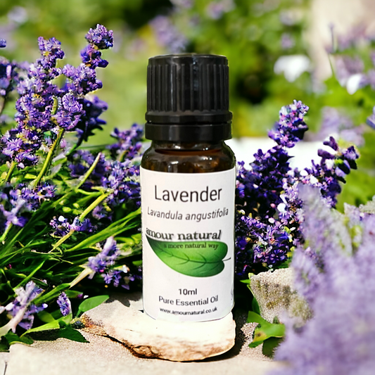 Lavender Essential Oil (10ml)