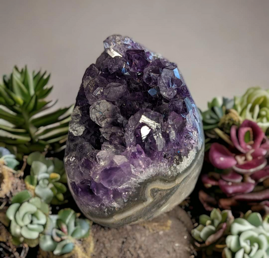 Small Amethyst Cluster Geode