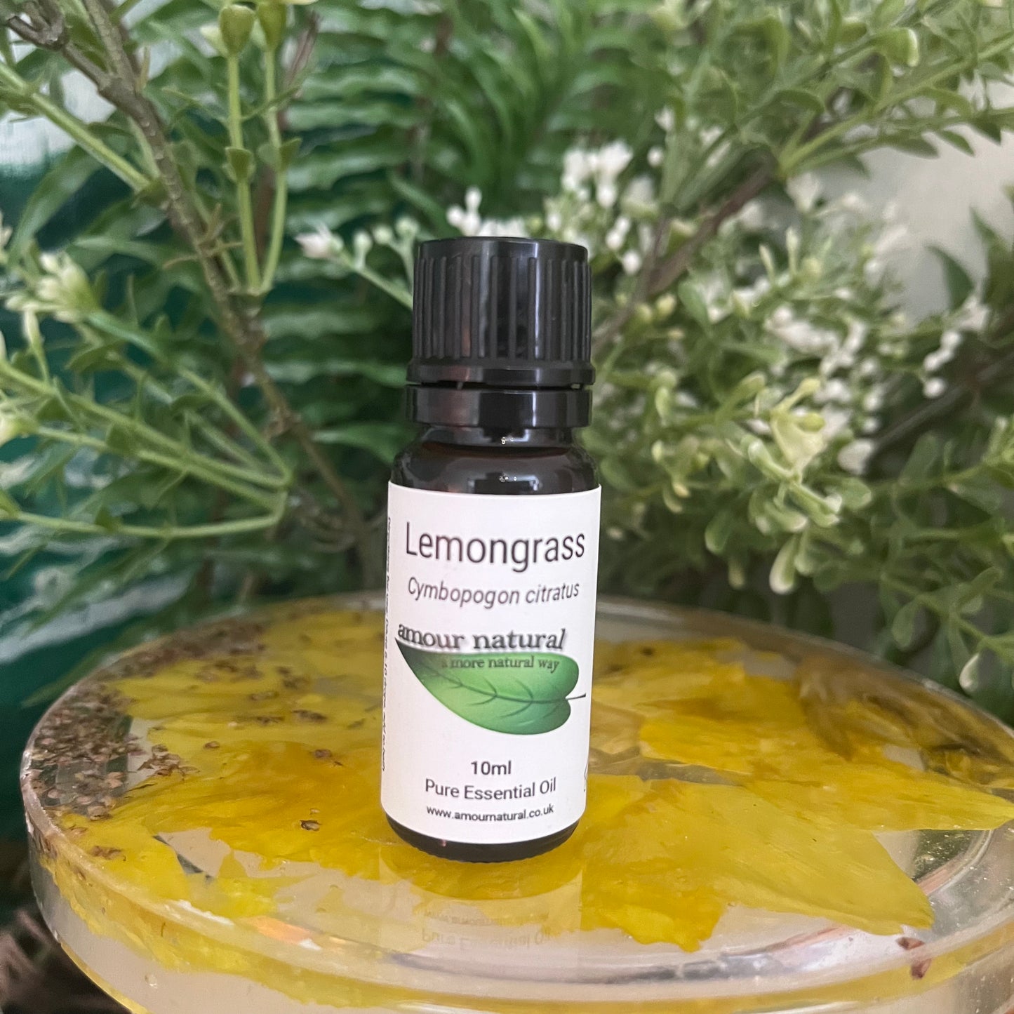 Lemongrass Essential Oil (10ml)