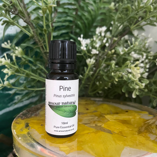 Pine Essential Oil (10ml)