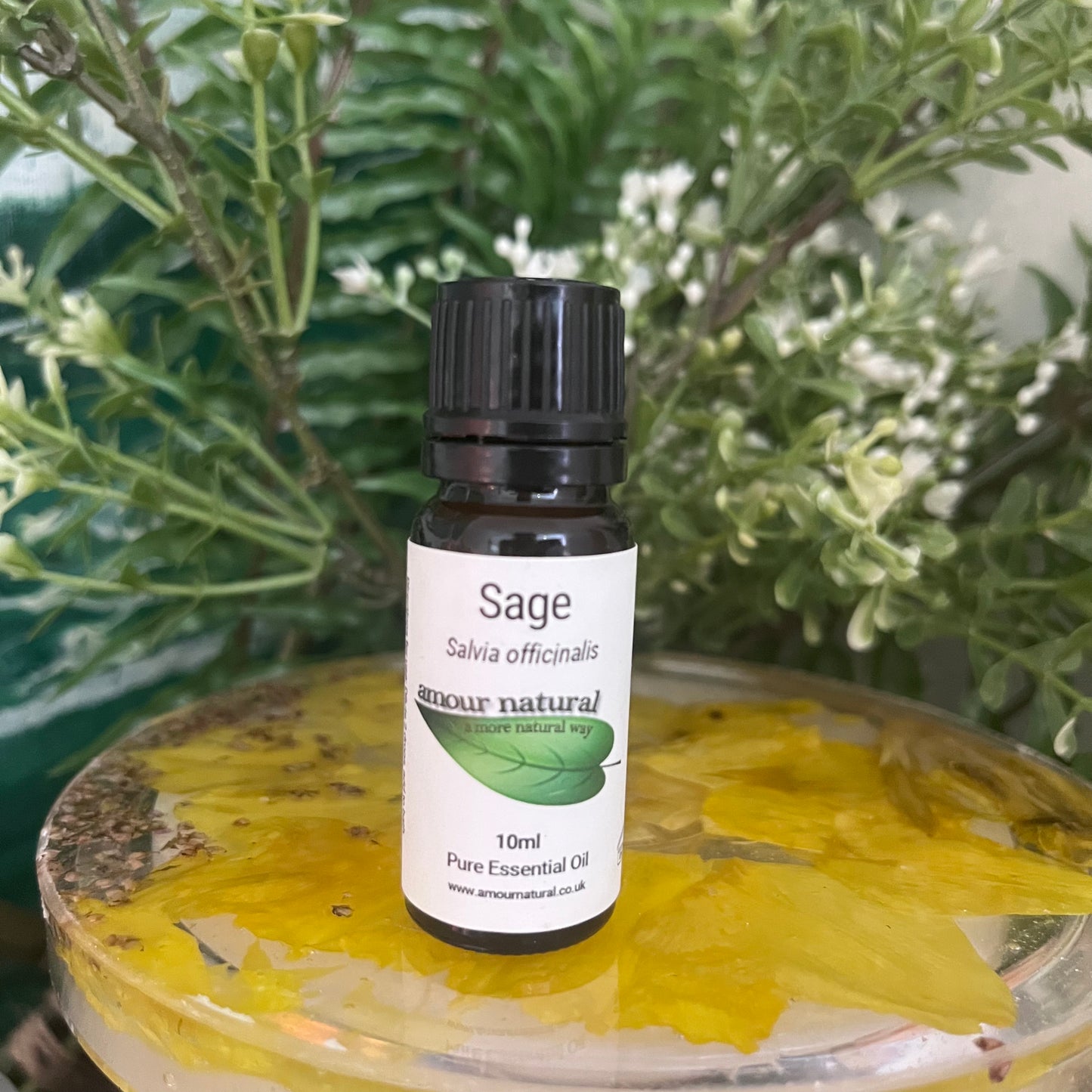 Sage Essential Oil (10ml)