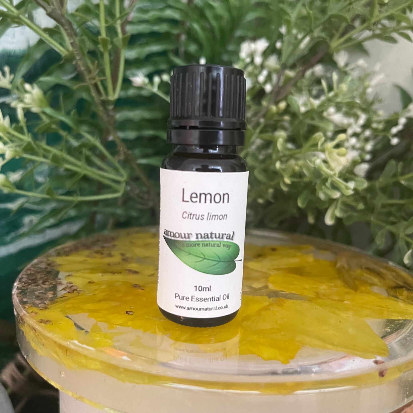 Lemon Essential Oil (10ml)