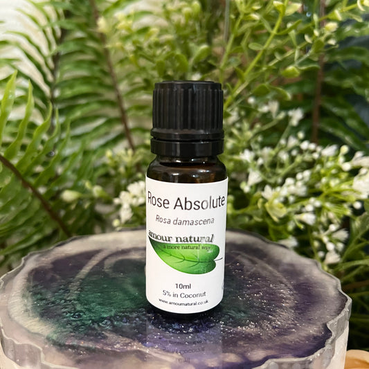 Rose Absolute Essential Oil - 5% (10ml)