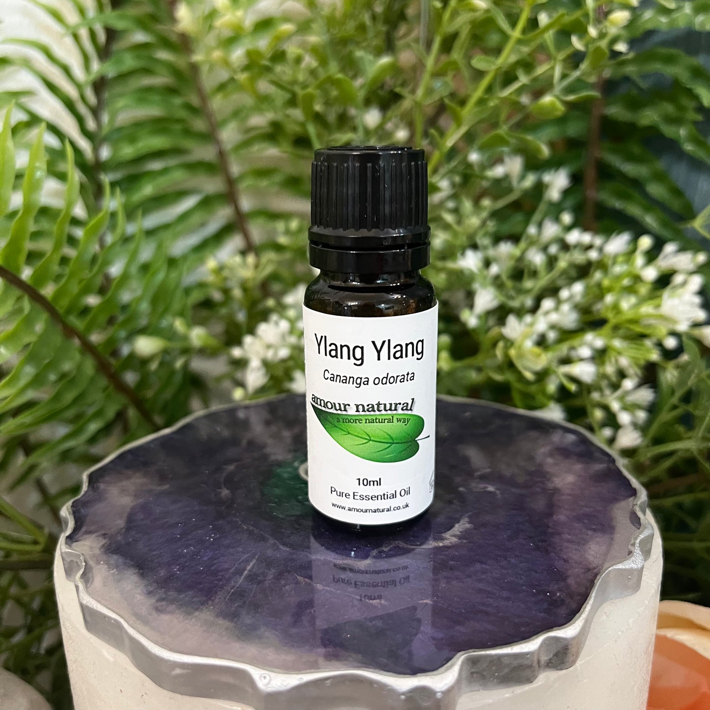 Ylang Ylang Essential Oil (10ml)