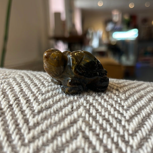 Tiger Eye Tortoise