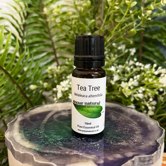 Tea Tree Essential Oil (10ml)