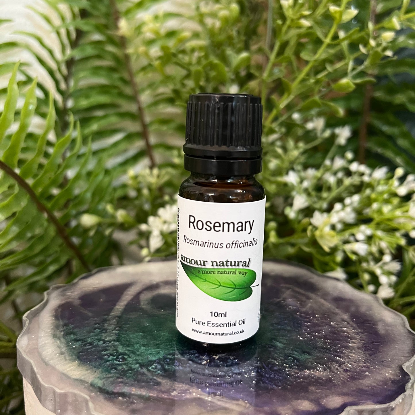 Rosemary Essential Oil (10ml)